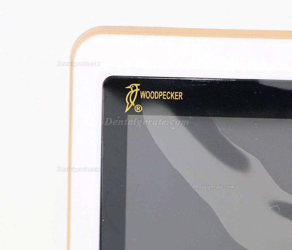 Woodpex III Dental Endodontie LCD Wurzelkanal Apexlokalisator mit goldenen Metallrahmen